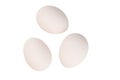 Fresh white chicken eggs in a store-bought papier-mache package, isolate on a white background Royalty Free Stock Photo