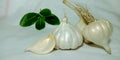 Fresh white colored garlic isolated on groups with green leaf Royalty Free Stock Photo