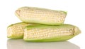 Fresh White Corn on the Cob Royalty Free Stock Photo
