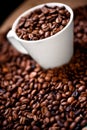 Fresh white cup of hot brazilian coffee beans