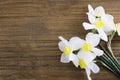 Fresh white daffodils isolated on a wooden background. Bouquet of daffodils. Spring flowers. Banner. Copy space Royalty Free Stock Photo