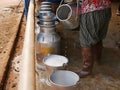 Fresh white dairy cow milk being poured into a bucket by a worker, right after finish milking at a farm