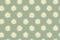 Fresh, white daisies on light pastel background. Daisy flower generative ai seamless texture. Beautiful flower pattern Royalty Free Stock Photo