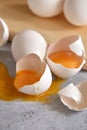 Fresh white eggs in a basket on a gray background Royalty Free Stock Photo