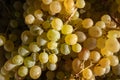 Fresh white grapes background Royalty Free Stock Photo