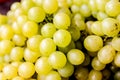 fresh white grapes Royalty Free Stock Photo