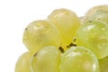 Fresh white grapes Royalty Free Stock Photo