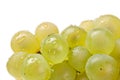 Fresh white grapes Royalty Free Stock Photo