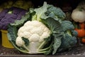 Fresh white headed cabbage, cauliflower, and broccoli on display at a greengrocer