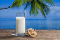 Fresh white milk in a glass with cookies on a wooden table with sea water, coconut palm tree and blue sky background on sunny Royalty Free Stock Photo