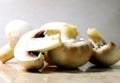 Fresh white mushrooms Champignon mushrooms mushrooms for Julien Royalty Free Stock Photo