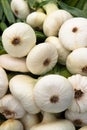 Fresh White Onions Royalty Free Stock Photo