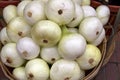 Fresh White Onions Royalty Free Stock Photo