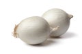 Fresh white onions Royalty Free Stock Photo