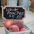 Fresh White Peaches for Sale Royalty Free Stock Photo