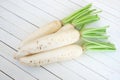 fresh white radishes