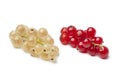 Fresh white and red currants Royalty Free Stock Photo