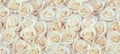 Fresh white roses seamless pattern Royalty Free Stock Photo