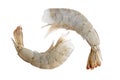 Fresh white shrimps isolated on white background