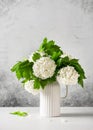 Fresh white snowball flowers in ceramic vase on rustic stone background. Royalty Free Stock Photo