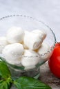 Fresh white soft mini mozzarella balls served with red tomato and fresh green basil