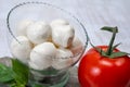 Fresh white soft mini mozzarella balls served with red tomato and fresh green basil