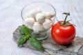 Fresh white soft mini mozzarella balls served with red tomato and fresh green basil