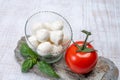 Fresh white soft mini mozzarella balls served with red tomato and fresh green basil