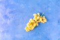 Fresh white Table Grapes on trendy blue background