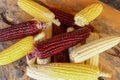 Fresh white, yellow and Siam Ruby Queen or Red corn on cobs on wooden table. Close up, top view. Fresh young corns ears Royalty Free Stock Photo