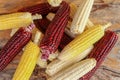 Fresh white, yellow and Siam Ruby Queen or Red corn on cobs on wooden table. Close up, top view. Fresh young corns ears Royalty Free Stock Photo