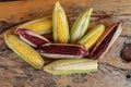 Fresh white, yellow and Siam Ruby Queen or Red corn on cobs on wooden table. Close up, top view. Fresh young corns ears with leave Royalty Free Stock Photo