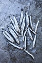 Fresh whitebait on stone background