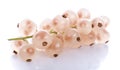 Fresh whitecurrants closeup Royalty Free Stock Photo