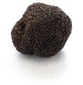 Fresh whole black truffle