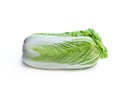 Fresh whole chinese cabbage isolated on white Royalty Free Stock Photo