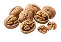Fresh whole and cracked walnuts ready for healthy snacking and cooking Royalty Free Stock Photo