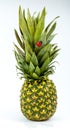 Fresh whole and cut pineapple isolated on white background. From top view Royalty Free Stock Photo