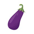 Fresh whole Eggplant vegetable. Farm eggplant plant icon. Organic garden vegetarian food.