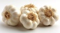 Fresh Whole Garlic Bulbs with Roots on a Clean White Background. Royalty Free Stock Photo