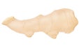 Fresh whole ginger isolated on a white background Royalty Free Stock Photo