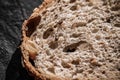 Fresh whole grain seeded bread, organic wheat flour, closeup slice texture as background for food blog or cook book