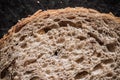 Fresh whole grain seeded bread, organic wheat flour, closeup slice texture as background for food blog or cook book