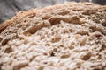 Fresh whole grain seeded bread, organic wheat flour, closeup slice texture as background for food blog or cook book