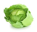 Fresh whole green cabbage isolated on a white background. Royalty Free Stock Photo