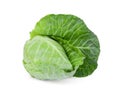 Fresh whole green pointed cabbage isolated on white backgroun Royalty Free Stock Photo