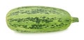 Fresh whole green vegetable marrow zucchini isolated on a white background. Royalty Free Stock Photo