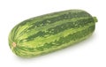 Fresh whole green vegetable marrow zucchini isolated on a white background. Royalty Free Stock Photo