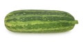 Fresh whole green vegetable marrow zucchini isolated on a white background. Royalty Free Stock Photo