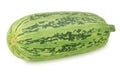 Fresh whole green vegetable marrow zucchini isolated on a white background. Royalty Free Stock Photo